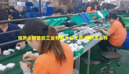博羅金樹(shù)塑膠工業(yè)