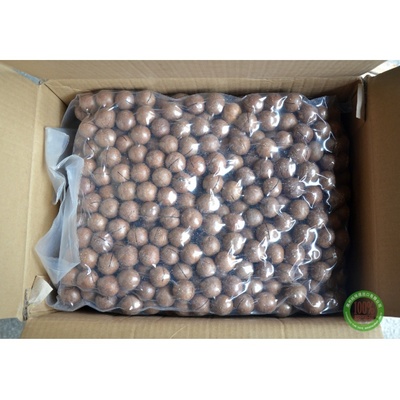 (散裝)豪華牌殼夏威夷果10kg*1包/組_廣州純味進口商品批發網