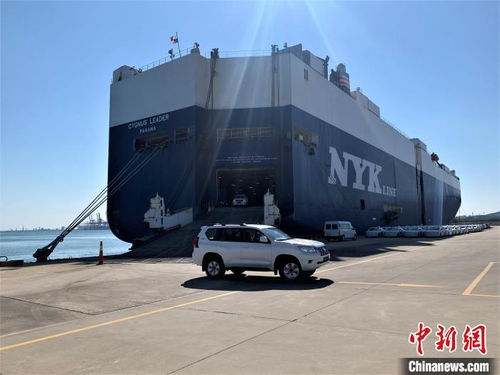 遼寧港口集團外貿商品車吞吐量大幅增長 貨源集聚效應顯著增強