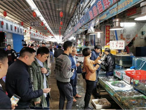 省局到南海區(qū)環(huán)球水產(chǎn)批發(fā)市場檢查食用農(nóng)產(chǎn)品溯源系統(tǒng)試點建設(shè)情況