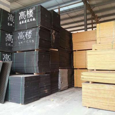 建材木模板批發圖片_高清圖_細節圖-九龍坡區中梁山鳳林木業經營部