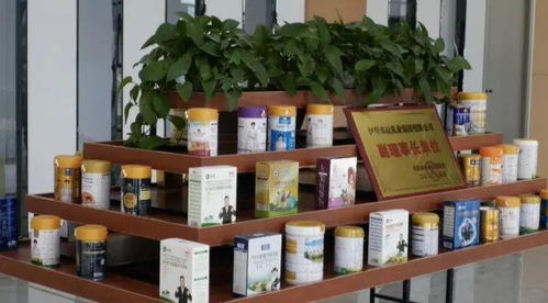 鞏留縣各企業(yè)積極籌備參加2023 中國 亞歐商品貿(mào)易博覽會